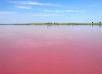 розовое озеро на алтае_6