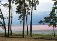 розовое озеро на алтае_7