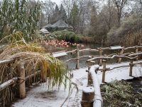 зоопарк в праге зимой 1