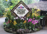 Национальный сад Орхидей
