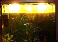 Освещение аквариум2