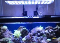 Освещение аквариум4