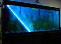 Освещение аквариум7
