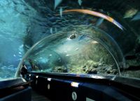 Подводный туннель