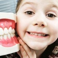 последовательность прорезывания зубов у детей