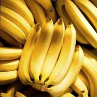 растут ли бананы на пальмах