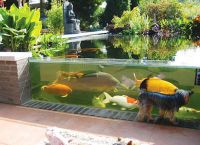 садовый аквариум1