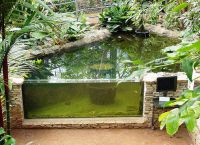 садовый аквариум5