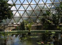 Брисбенский ботанический сад