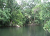 Дождевые леса Куэро-и-Саладо