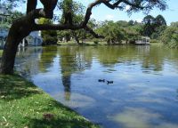 Искусственное озеро в парке Трес-де-Фебреро