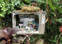 Старый телевизор и кисточки - часть садового пейзажа