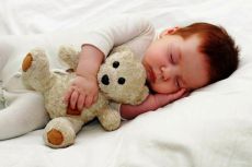 сколько раз спит ребенок в 6 месяцев