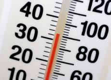 измерение базальной температуры при беременности