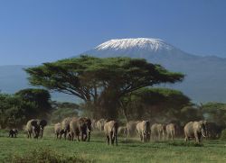 Национальные парки Танзании - идеальное место для экотуризма