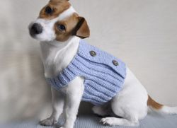 Вязаная одежда для собак