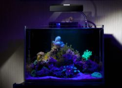 Ультрафиолетовая лампа для аквариума