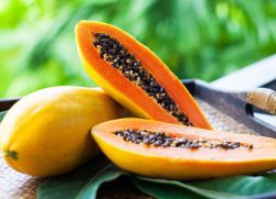 папайя фрукт полезные свойства