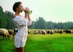 почему нельзя пить молоко