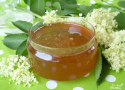 мед из бузины рецепт