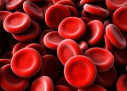 высокий гемоглобин в крови причины