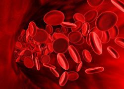 норма тромбоцитов в крови у женщин