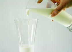 как приготовить инжир с молоком от кашля
