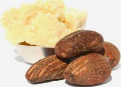 масло какао свойства и применение