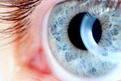 ночные линзы восстанавливающие зрение