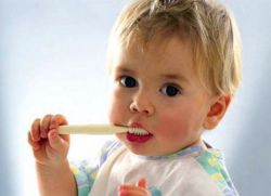 сколько зубов у ребенка в два года