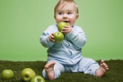 какие фрукты можно ребенку в 8 месяцев
