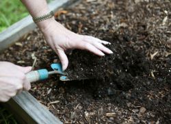 как обеззаразить почву в огороде