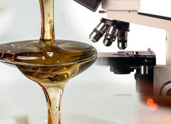 как проверить мед на натуральность