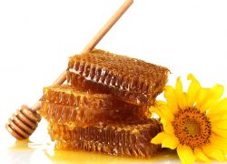 чем полезен мед в сотах