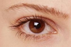 кератит глаза лечение 