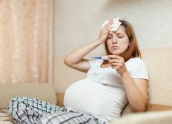 Имбирь от простуды при беременности
