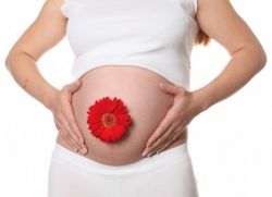 Иммуноглобулин при беременности
