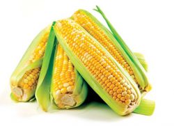чем полезна вареная кукуруза