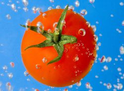 помидоры состав витаминов