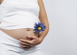 16 акушерская неделя беременности