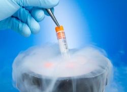 витрификация клеточных эмбрионов