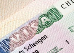 как получить шенгенскую визу самостоятельно