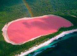 розовое озеро хиллер австралия