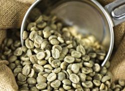 как заваривать натуральный зеленый кофе