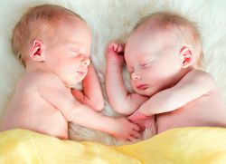 Какова вероятность рождения близнецов