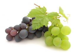 Масло виноградной косточки полезные свойства