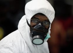 Вирус лихорадки эбола