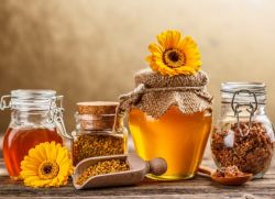 пчелиный подмор рецепты народной медицины