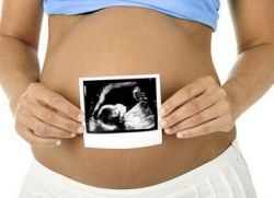 плановые узи при беременности