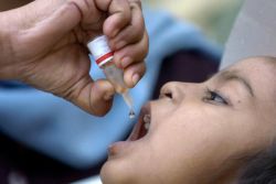 прививка полиомиелит